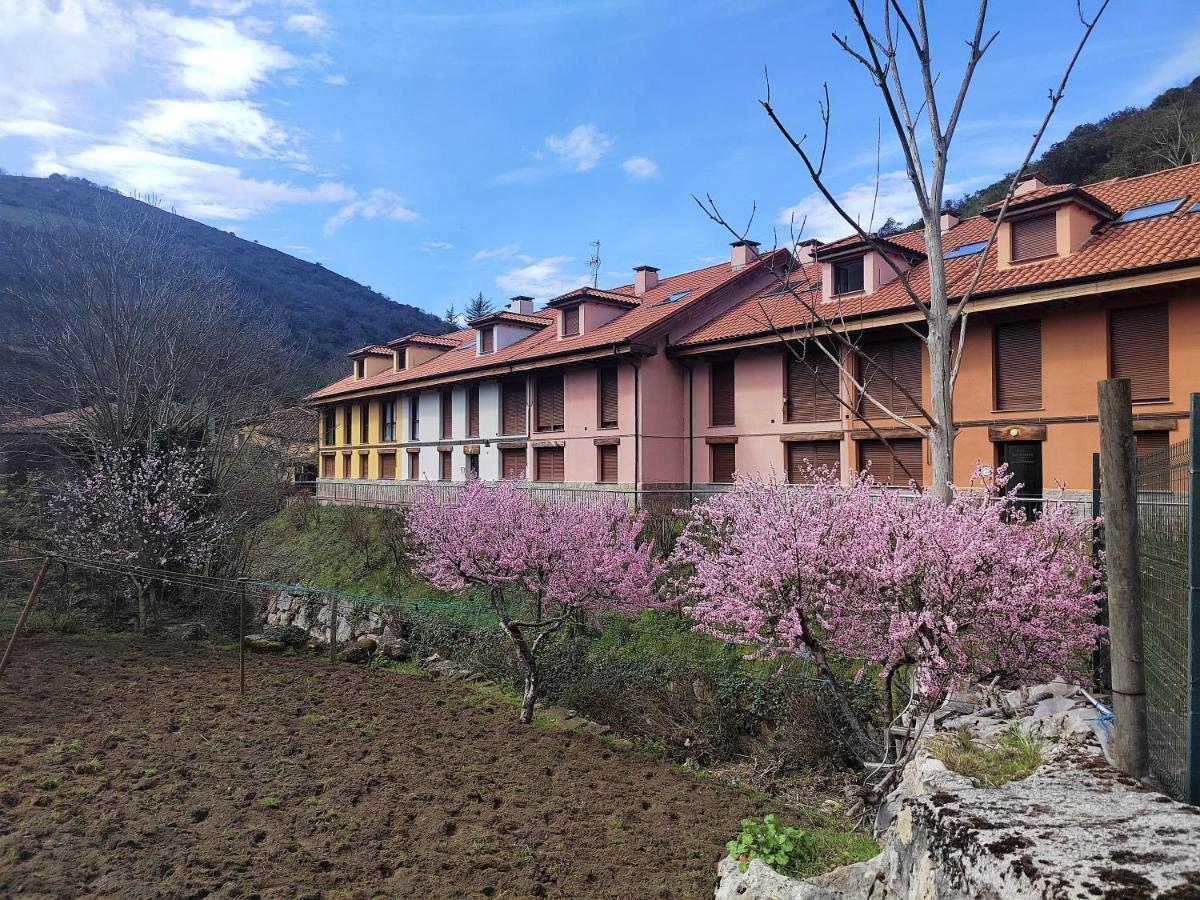 卡瑞纳Cabrales Sol公寓 外观 照片